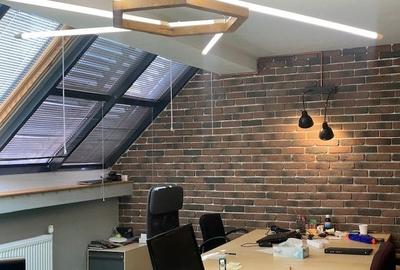 Cismigiu-Mircea Vulcanescu Cismigiu-Mircea Vulcanescu - 5