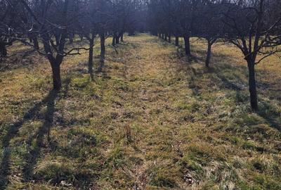 Teren de 6307 mp, în Exterior Vest - 4