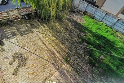 Dobroesti 5 Camere Vila La Curte - 19