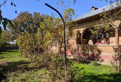 Casă cu 4 camere cu Teren 1600 Mp în Central - 2