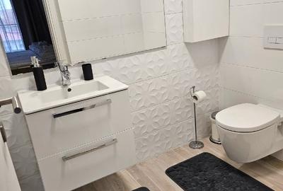 Apartament cu 2 camere decomandat, mobilat în Banu Manta - 9