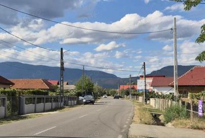 Vanzare casa D+P+M ?i teren 4334 mp - Runcu, Sat Rachi?i - 2