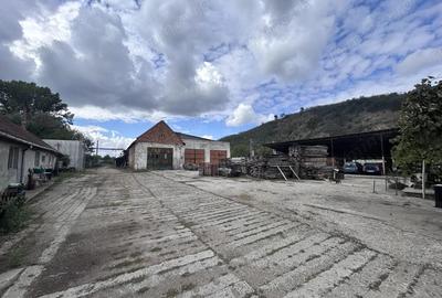 Spațiu comercial, de 1,280 mp, în Șoimoș - 22