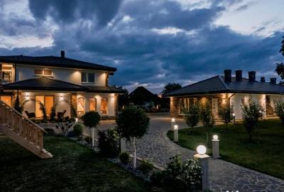 Casă cu 8 camere cu Teren 11880 Mp în Horodnic - 15