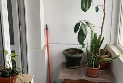 Apartament 2 camere -Decomandat -Tei - 5