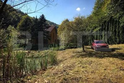 Casa de Vacan?a pe Valea Ighielului 3 camere, 2500 mp curte - 3