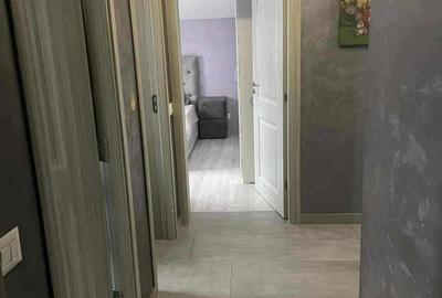 Apartament cu 3 camere decomandat în Paltin