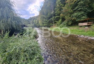 Spatiu de vanzare in Valea Macesului judel Valcea iesire la Lotru - 23
