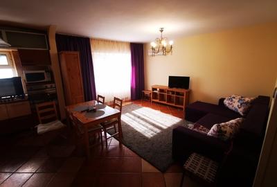 Apartament 4 camere Ultracentral Palas - 5