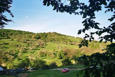 Spațiu comercial, în Bradu - 3