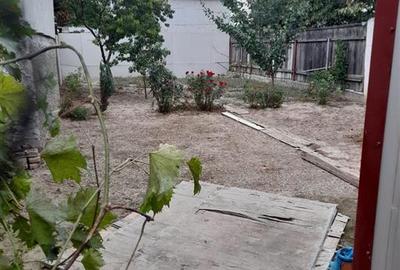 Spațiu industrial, de 50 mp, în Apollo - 2