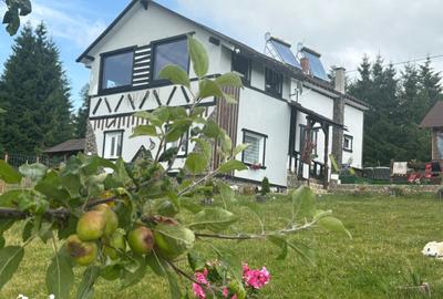 Casă cu 6 camere cu Teren 820 Mp în Tiha Bârgăului - 14