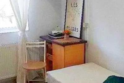 Iosefin Garsoniera - 10