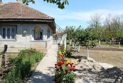 Casă cu 4 camere în Gheorghe Lazăr - 1