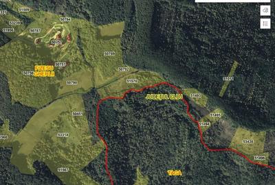 Teren de 35000 mp, în Nicula - 2