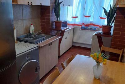 Apartament cu 2 camere semidecomandat în Santău - 4