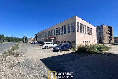 Hală Industrială de inchiriat - Lipova, Județul Arad - 2