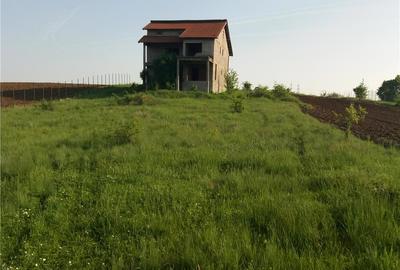 Casă cu 6 camere cu Teren 5000 Mp în Baldovinești - 9