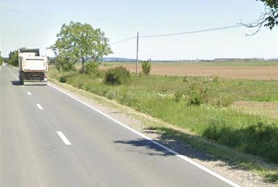 Teren de 3000 mp, în Sălard - 5