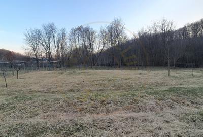 Teren Construcții intravilan de 500 mp, în Moșoaia - 6