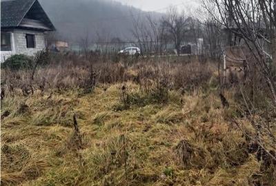 CASA cu  Teren de vanzare in EXCLUSIVITATE Stefan Cel Mare- jud Bacau - 2