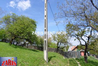 Teren Construcții intravilan de 3658 mp, în Predeal-Sărari - 5