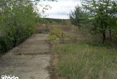 Casă cu 3 camere cu Teren 2350 Mp în Ciolpani - 5