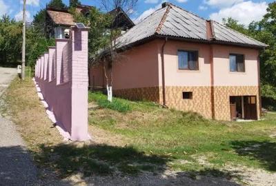 Casă cu 3 camere cu Teren 1400 Mp în Griviței - 1