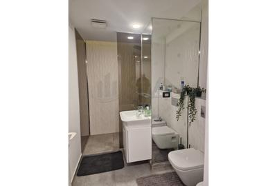 Apartament cu 2 camere decomandat, mobilat în Herăstrău - 6