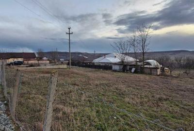Spațiu comercial, în Erbiceni - 2