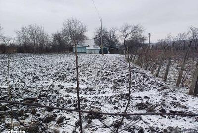 Casă cu 2 camere cu Teren 70 Mp în Central - 6