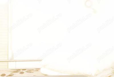 Cazare muncitori in elisabetin, zona apropiata de zona cal. sagului - 15