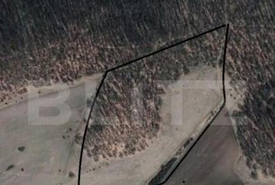 Teren extravilan 5 ha, din care 2.5 padure si 2.5 pasune, zo - 1