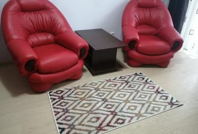 Garsoniera Gorjului - metrou - 3