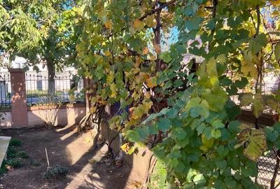 Casă cu 4 camere în Parța - 3