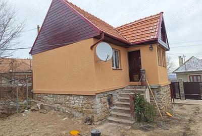 Casă cu 2 camere cu Teren 1150 Mp în Pădureni (Ciurila) - 4