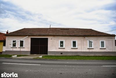 Casă cu Teren 3596 Mp în Pișchia - 10