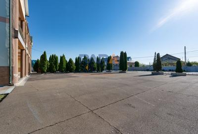 Spațiu comercial, de 1,900 mp, în Tămășeni - 2