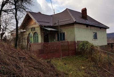 Casă cu 3500 mp Teren, Schitu-Golești, Argeș! - 4