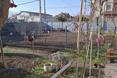 Casă cu 3 camere cu Teren 650 Mp în Sfântu Gheorghe - 2