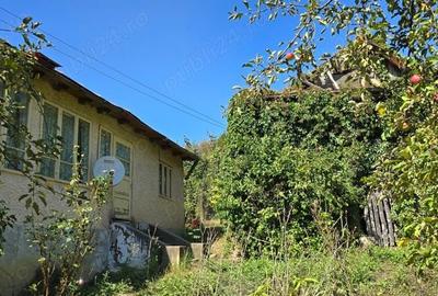 Casă cu 5 camere în Aluniș - 9