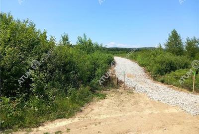 Teren intravilan 3900 mp Porumbacu de Sus, Sibiu - 3