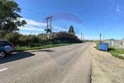 Teren de 8621 mp, în Periferie - 2