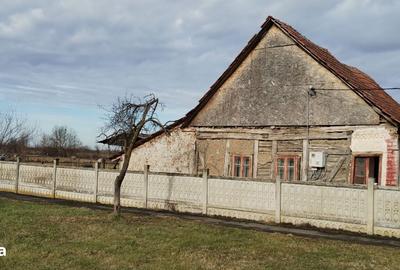 Casă cu 4 camere cu Teren 6153 Mp în Sinersig - 4