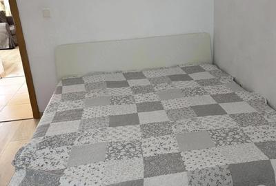 Casă cu 1 camere cu Teren 350 Mp în Dumbrăvița - 3