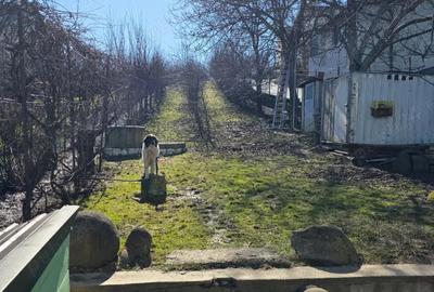 Casă cu 4 camere cu Teren 1650 Mp în Făget - 8