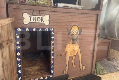 Casă individuală cu 4 camere cu Teren 391 Mp în George Enescu - 12