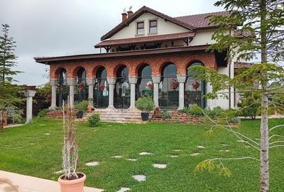 De vanzare vila exceptionala in stil Neo Romanesc cu vedere la lac si padure - 3