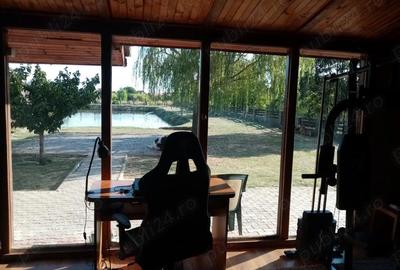 Casă cu 6 camere cu Teren 3560 Mp în Central - 13