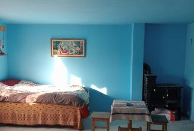 Casa cu etaj in sat Poiana-Braesti - 2